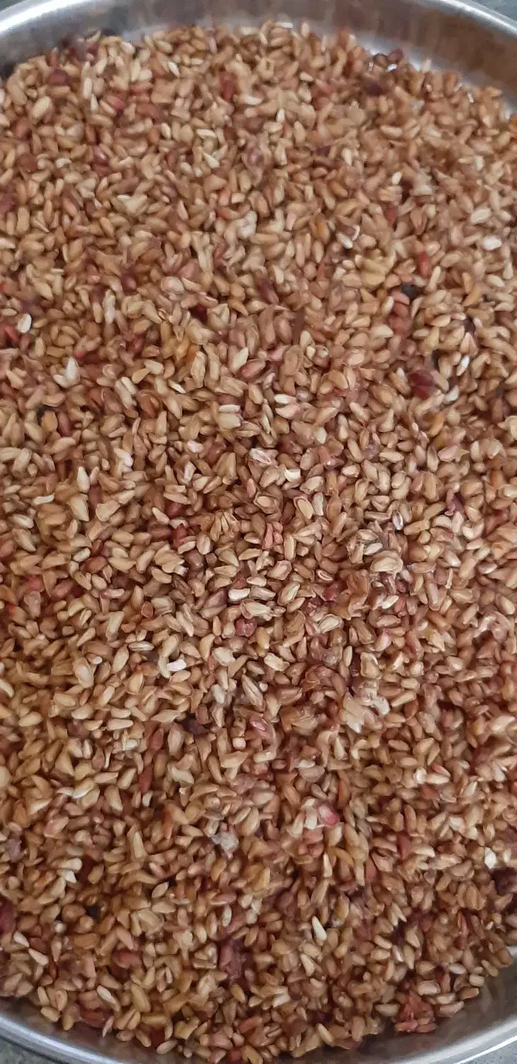 ناردونه محلی|خوردنی و آشامیدنی|فیروزآباد (فارس), |دیوار