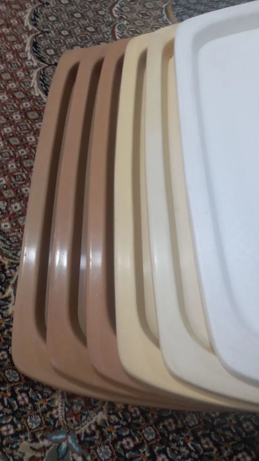 سینی|ظروف نگهدارنده، پلاستیکی، یکبارمصرف|اردبیل, |دیوار