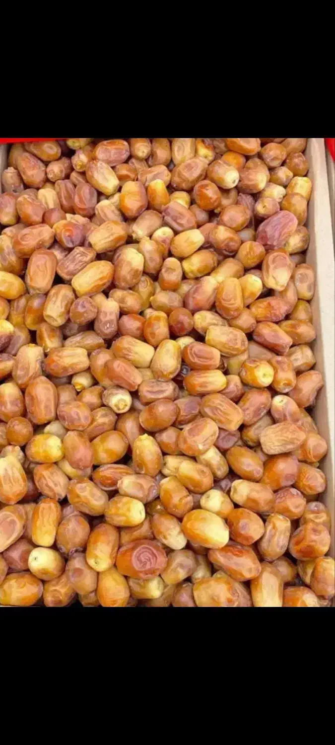 راهنمایی خرما زاهدی|فعالیت داوطلبانه|جهرم, |دیوار