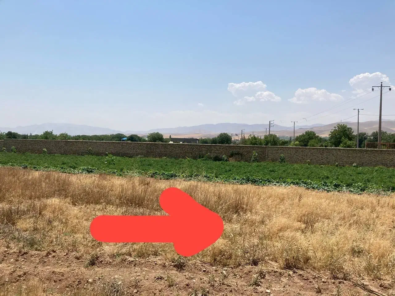 فروش زمین کشاورزی|فروش زمین و ملک کلنگی|صائین قلعه, |دیوار