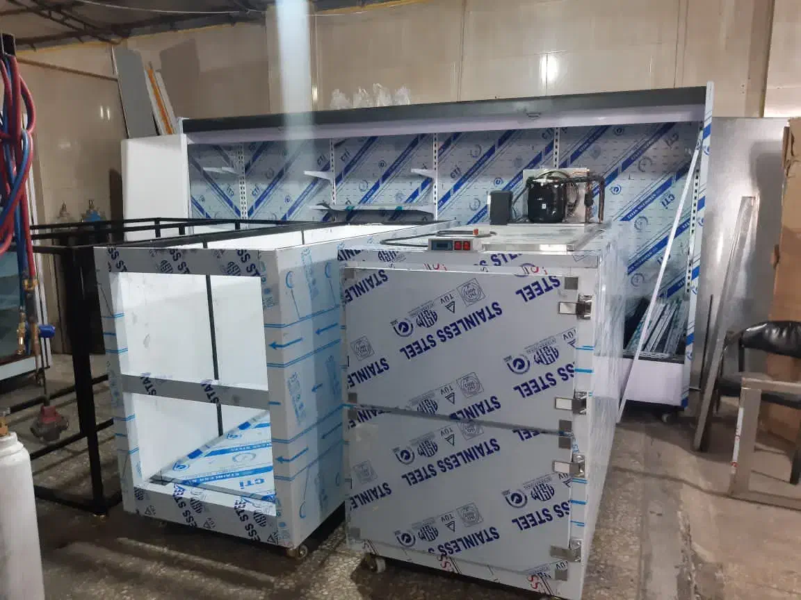 سردخانه سفارشی چند کابین جسد و میت|عمده‌فروشی|پاکدشت, پاکدشت (مامازند)|دیوار