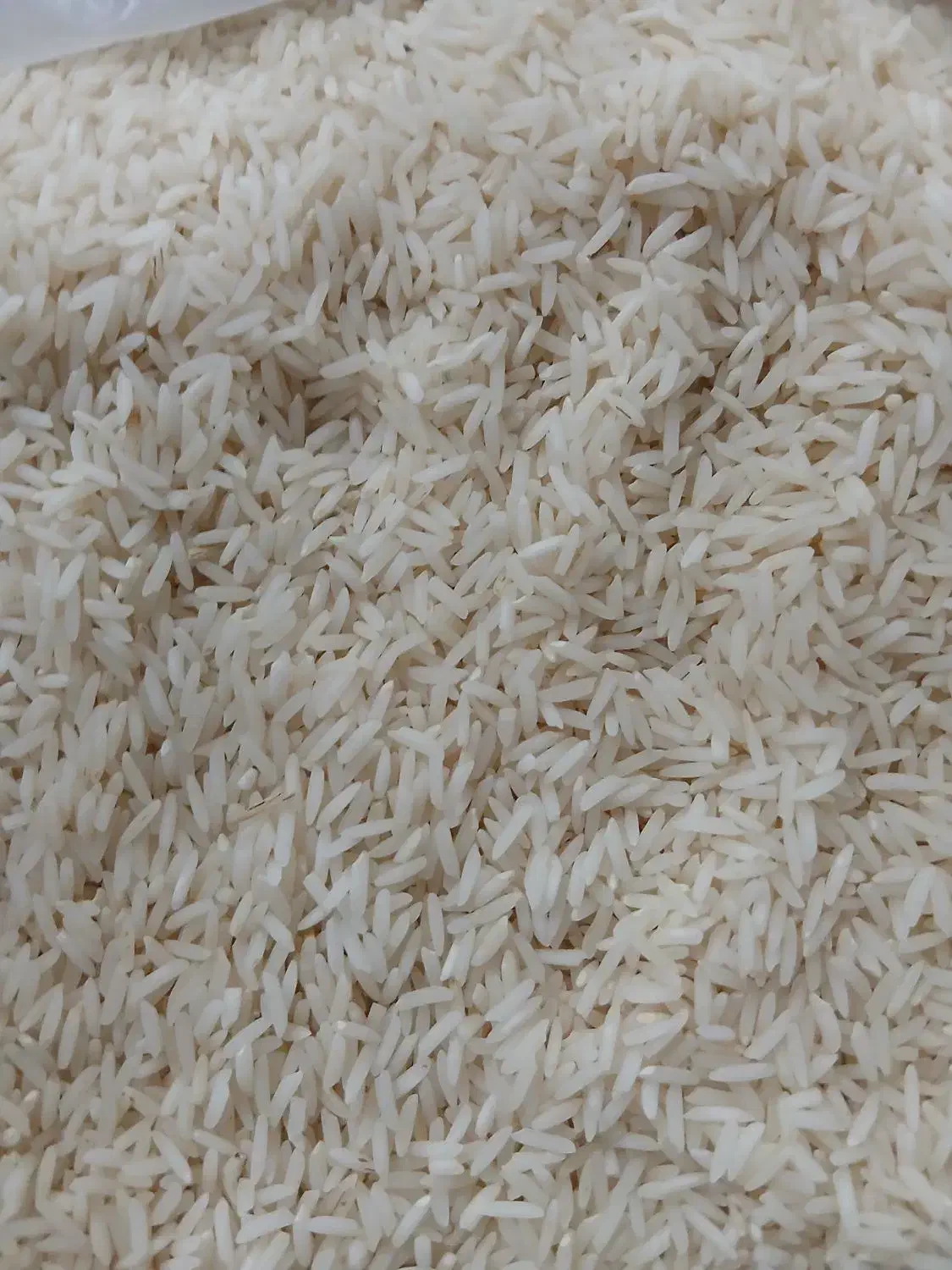 برنج|خوردنی و آشامیدنی|شاهین‌شهر, نبوت|دیوار