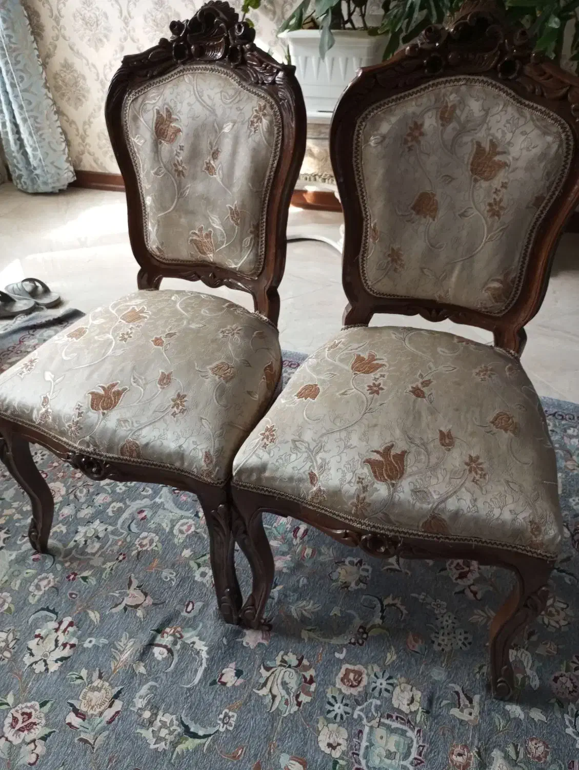 فروش صندلی ناهارخوری|میز و صندلی غذاخوری|فولادشهر, A3|دیوار