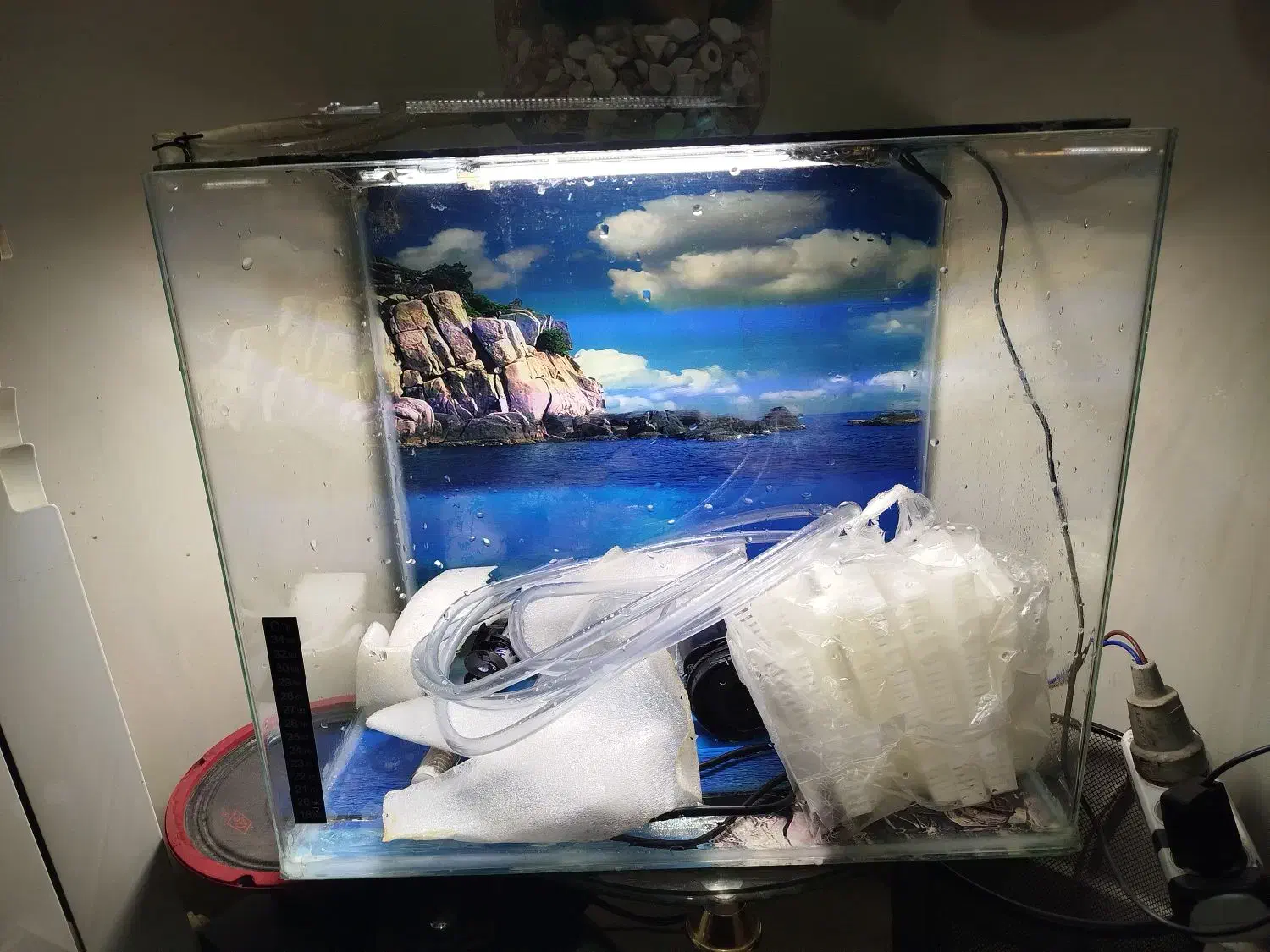 آکواریوم شیشه خم 60*40*40|ماهی|تهران, جوادیه تهرانپارس|دیوار