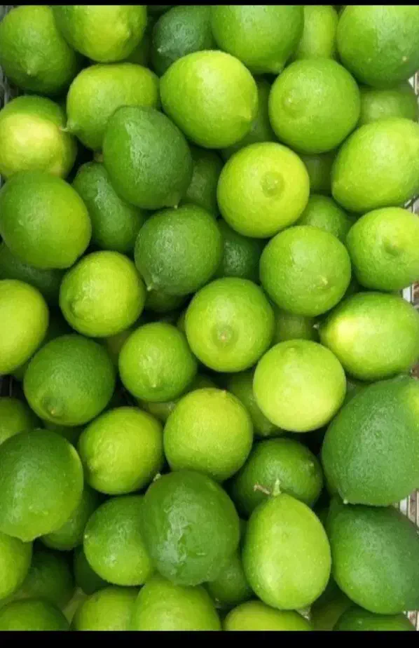 فروش لیموی جهرم و خرمای قصب جهرم|خوردنی و آشامیدنی|قائم‌شهر, |دیوار