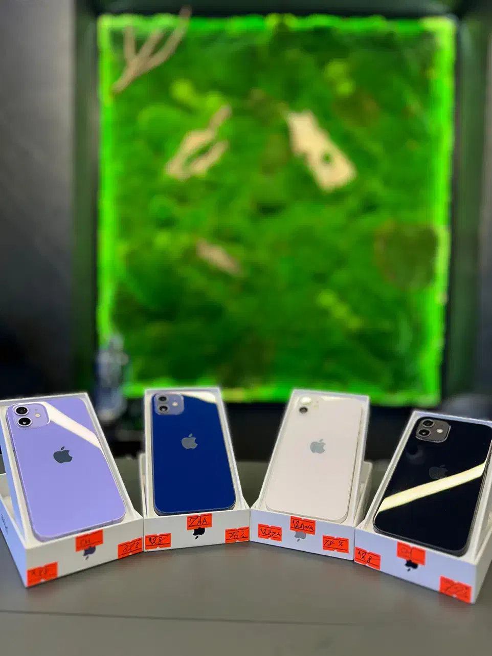 iphone 12 normal128CH|موبایل|تهران, حر|دیوار