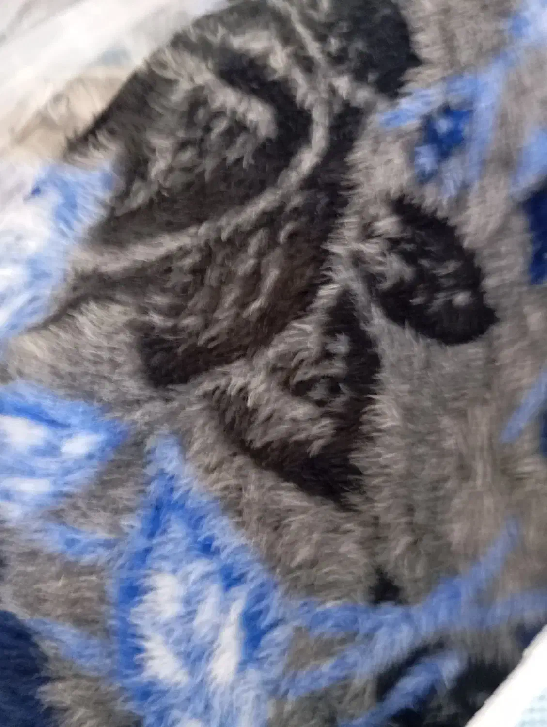 پتو تابان|رختخواب، بالش، پتو|مریوان, |دیوار