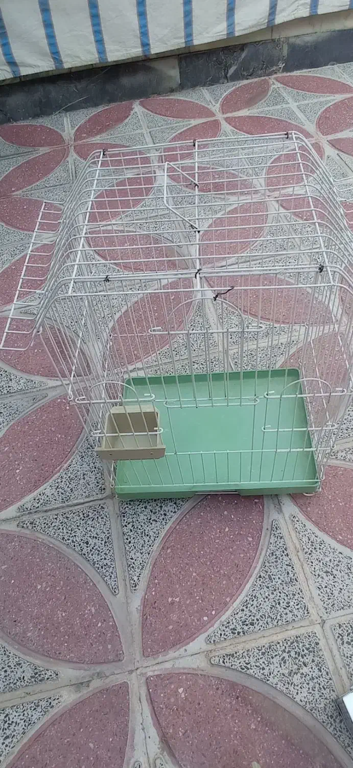 قفس درحد نو|لوازم جانبی حیوانات|شیراز, کوزه گری|دیوار