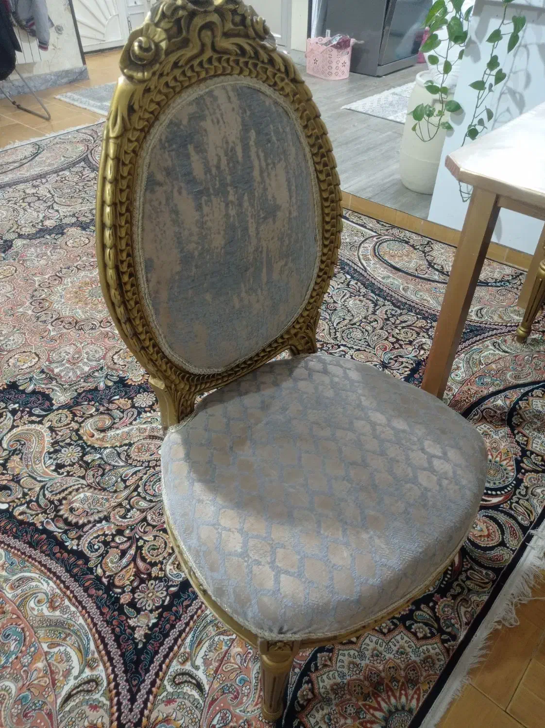 میز وصندلی ناهار خوری6نفره|میز و صندلی غذاخوری|صدرا-فارس, فاز ۱|دیوار