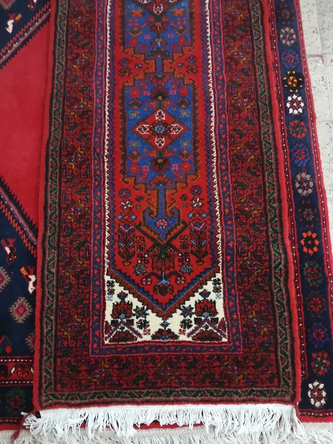 کناره زیبا نو همدان|فرش|کرج, ساسانی (قلمستان)|دیوار