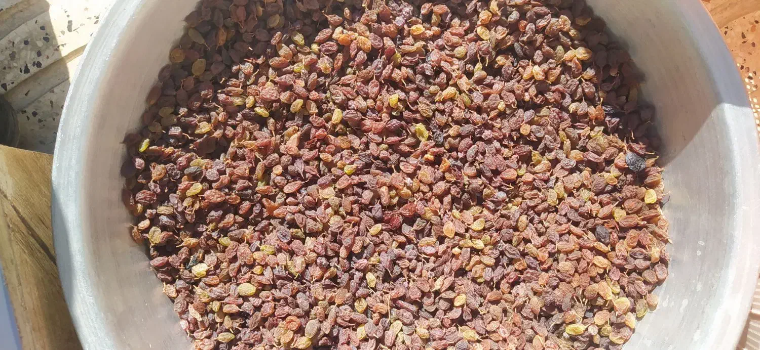 کشمش و لوبیا|خوردنی و آشامیدنی|یاسوج, |دیوار