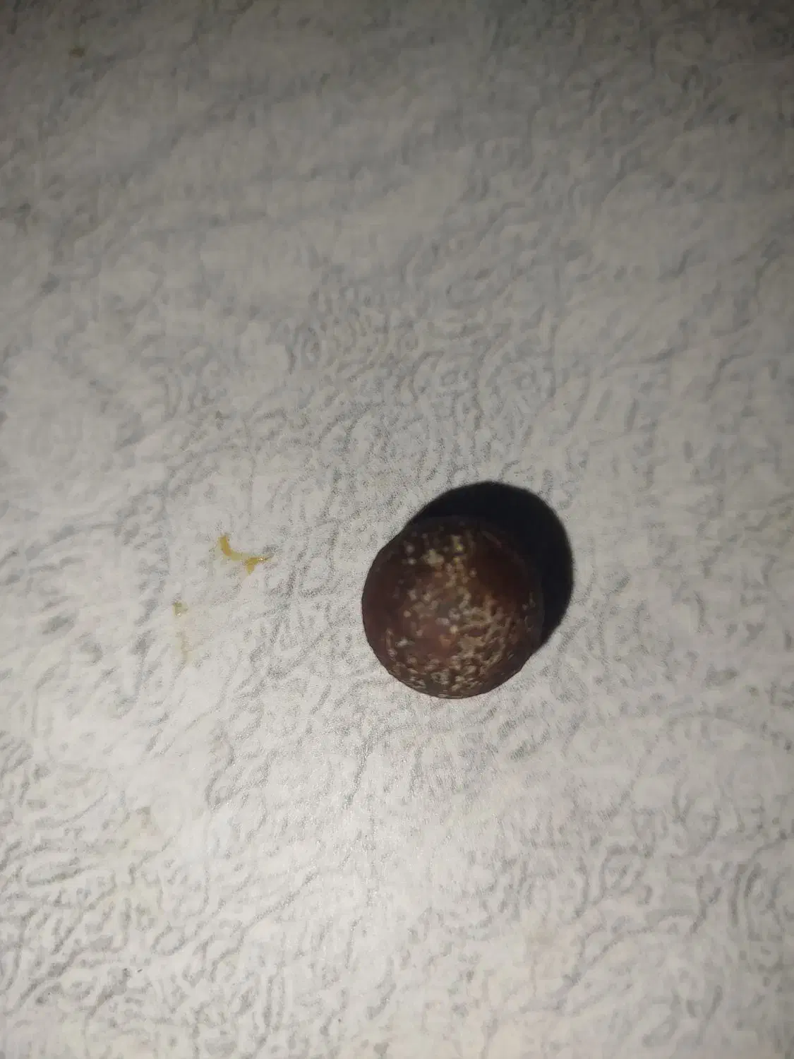 شهاب سنگ|کلکسیون اشیاء عتیقه|سنندج, |دیوار