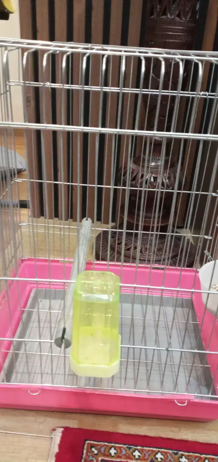 قفس نو وضخیم|لوازم جانبی حیوانات|زنجان, |دیوار