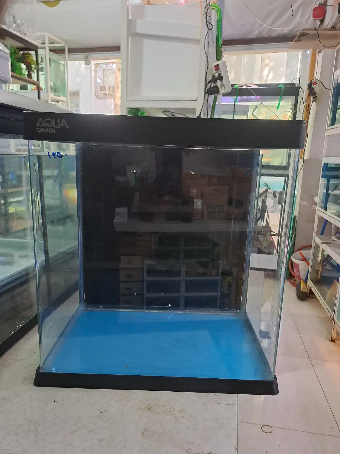 شهر اکواریوم|ماهی|ساری, |دیوار