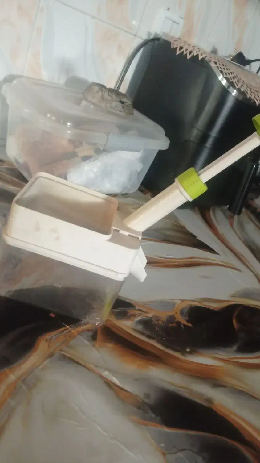 دستگاه هسته گیر|سایر لوازم برقی|بندرعباس, |دیوار