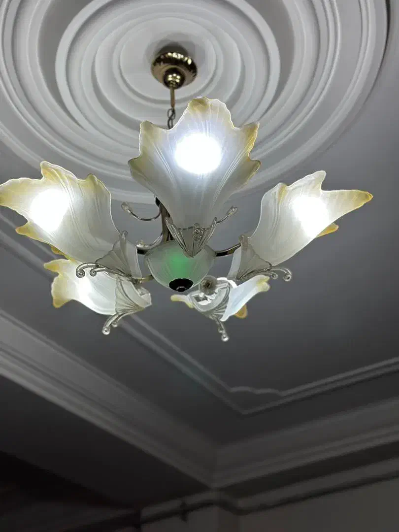 لوستر|لوستر و چراغ آویز|گنبد کاووس, |دیوار