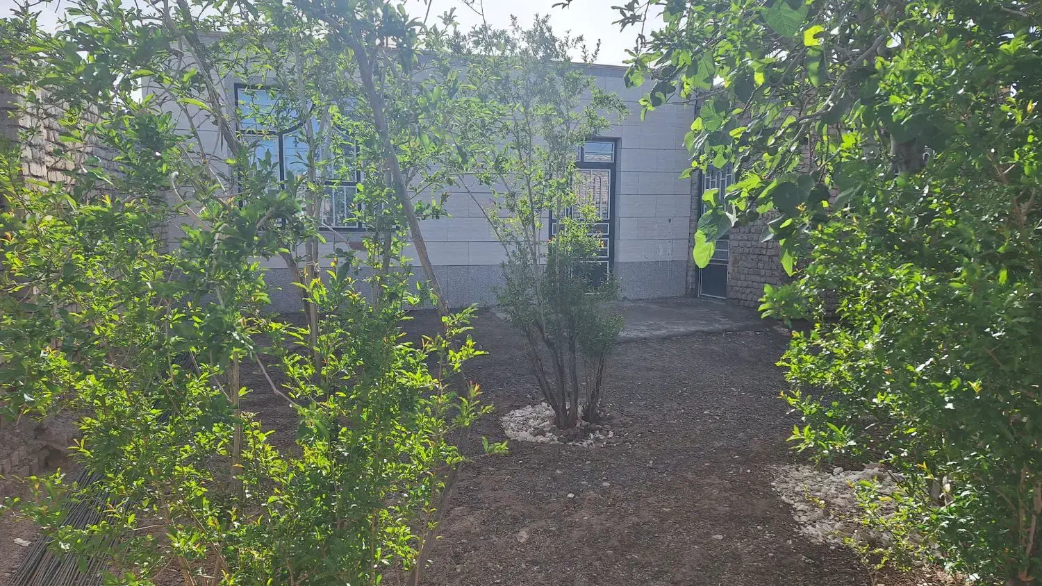 فروش خانه|فروش خانه و ویلا|تربتحیدریه, کاشانی|دیوار