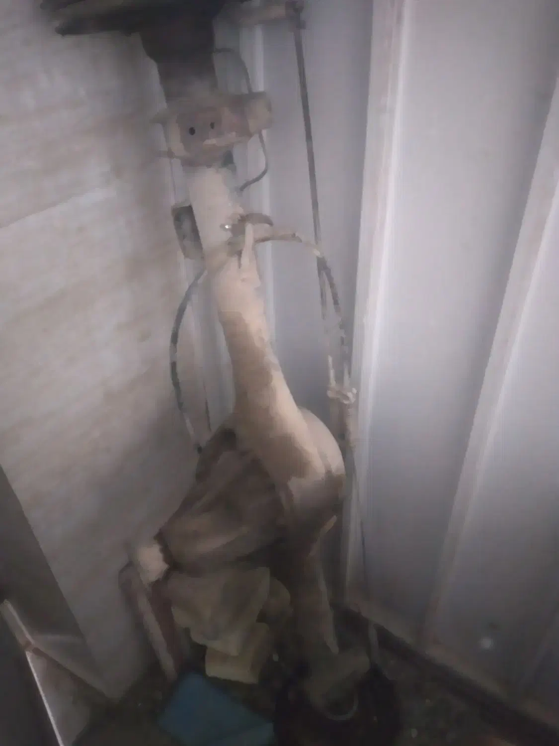 وسایل|تجهیزات ورزشی|یزد, |دیوار