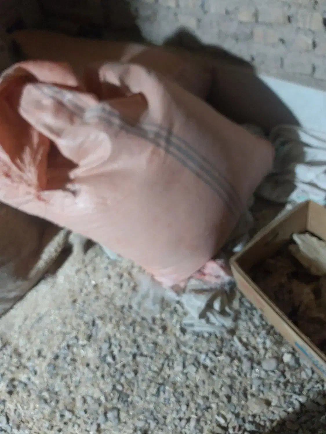 نان خشک حیوانی|لوازم جانبی حیوانات|میبد, |دیوار