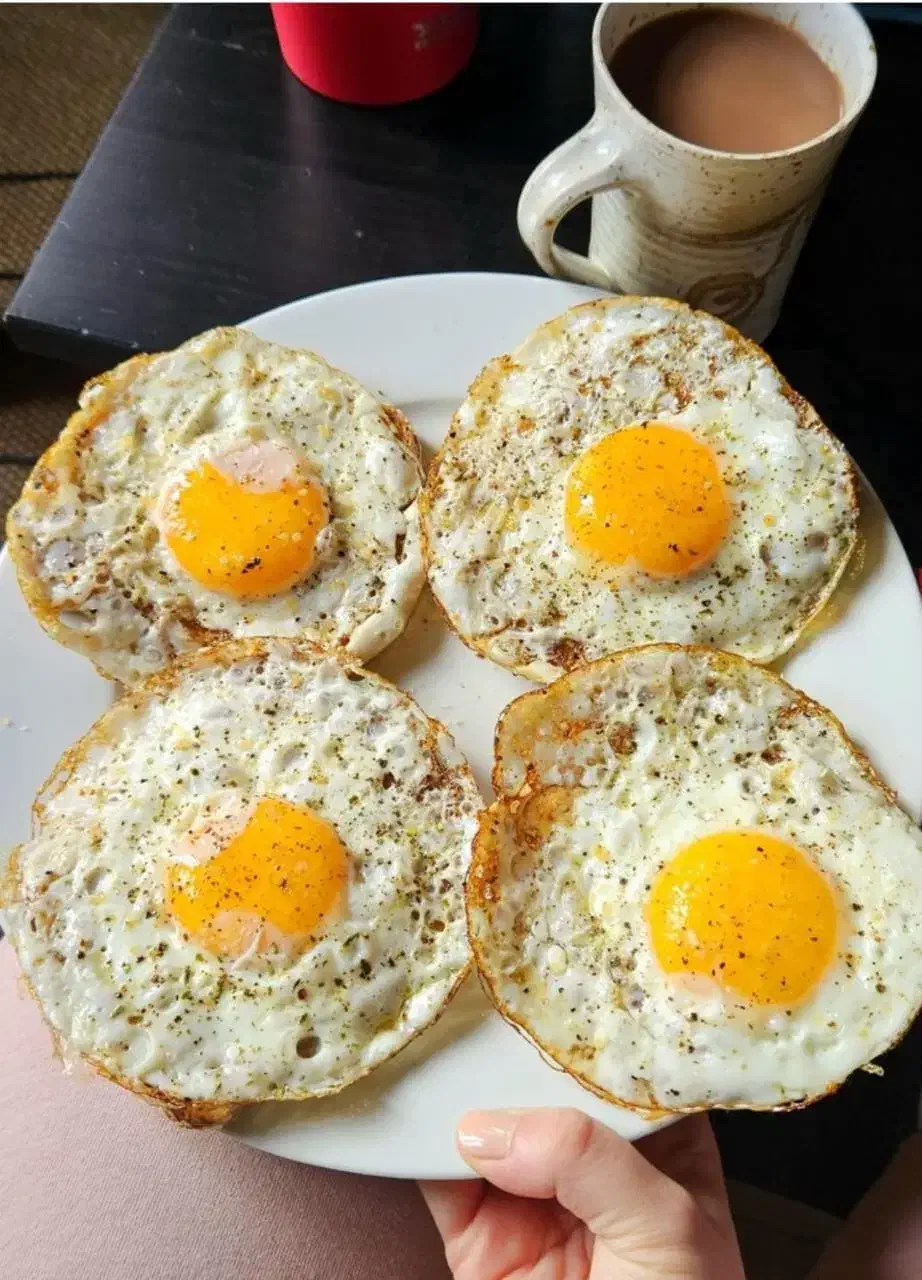 صبحانه خوری ایسین چهچکور ابشورک شهرک نامجو|استخدام خدمات فروشگاه و رستوران|بندرعباس, |دیوار