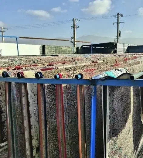 قالی شویی درمنزل|خدمات نظافت|زرند, |دیوار