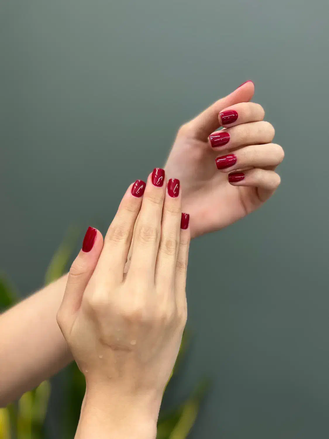 تخفیف ویژه ۱۵٪لاین احیا وناخن|خدمات آرایشگری و زیبایی|کلارآباد, |دیوار