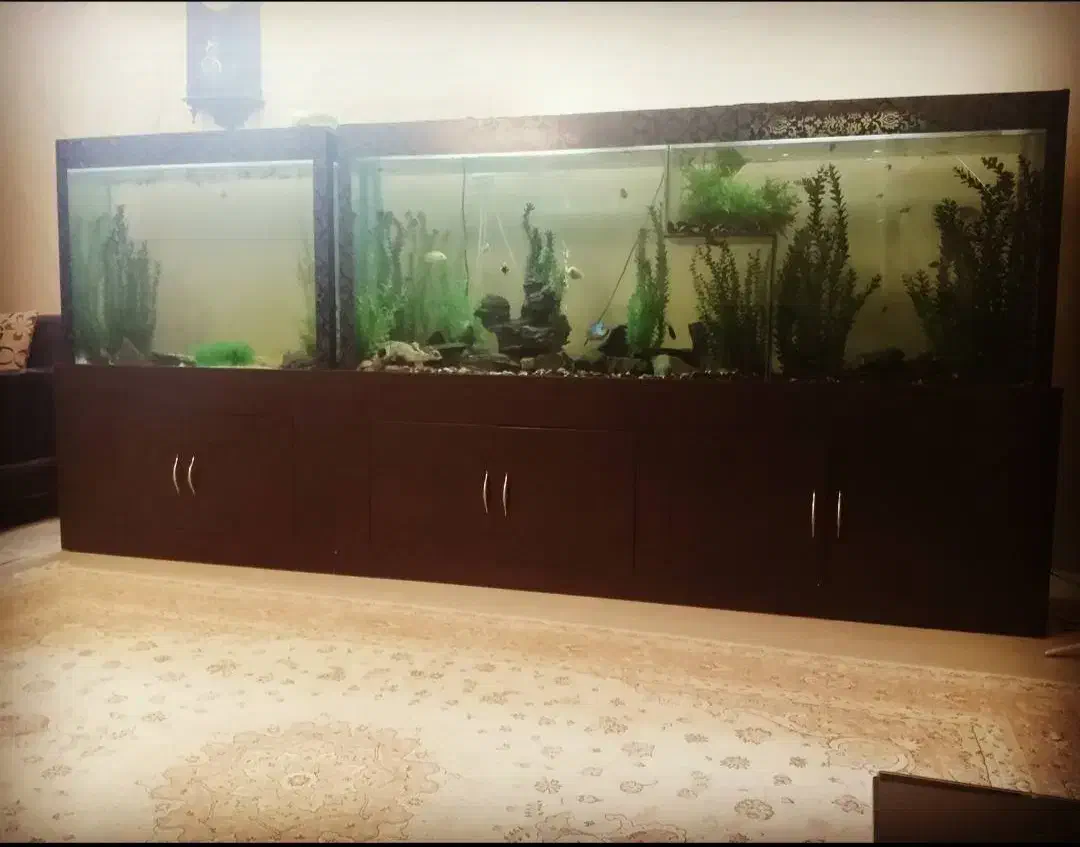آکواریوم 1 متری کمد دار فقط 3200 ، مشهد|ماهی|شاندیز, |دیوار