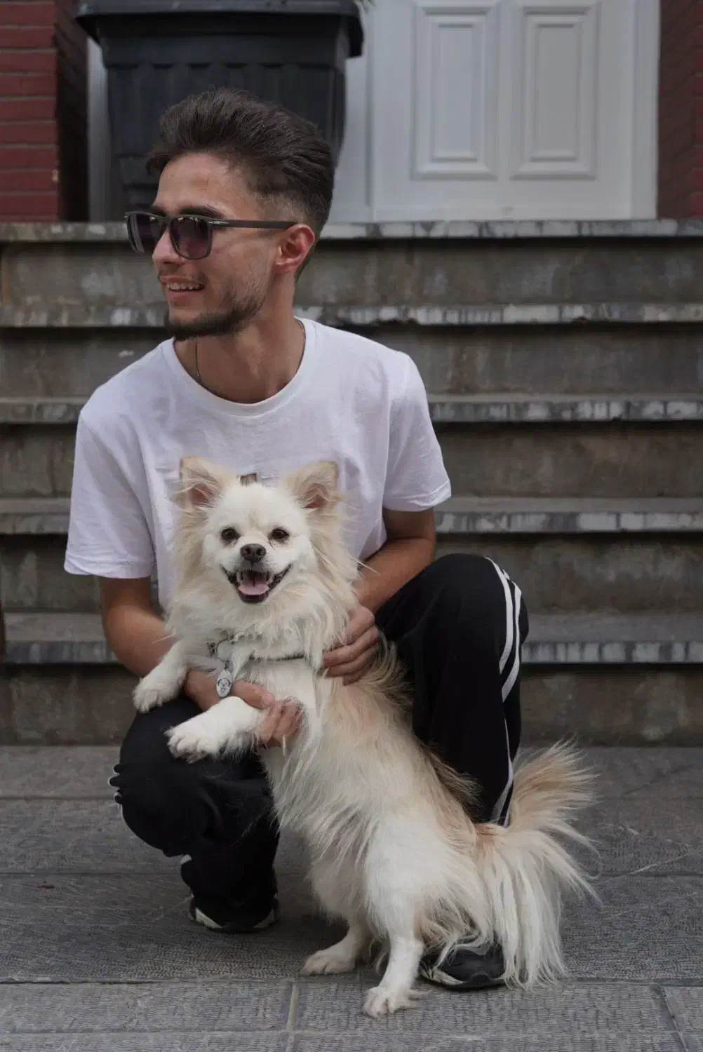 سگ پامرانین|سگ|مشهد, کارمندان دوم|دیوار