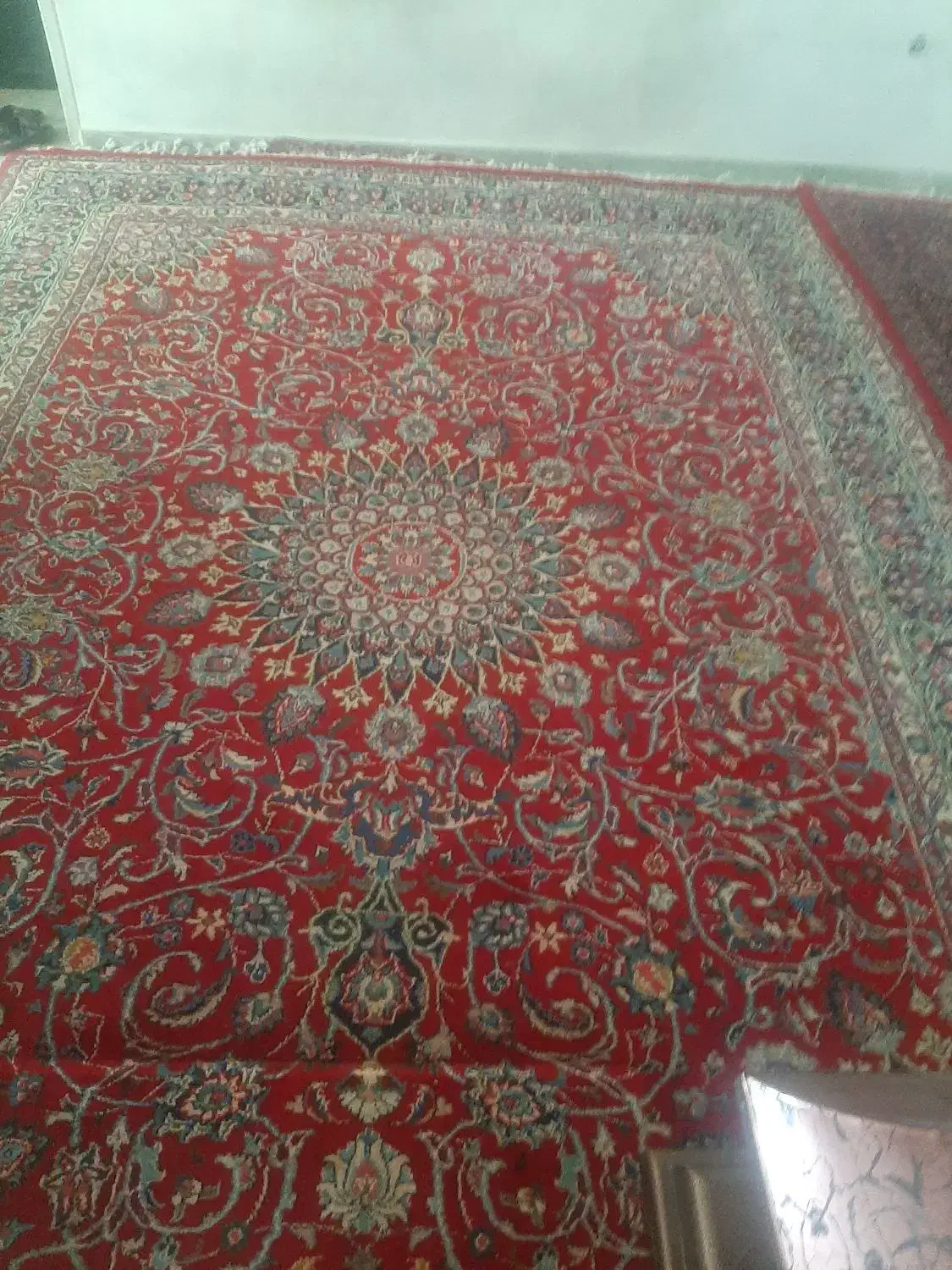 فرش دست بافت|فرش|رودهن, |دیوار