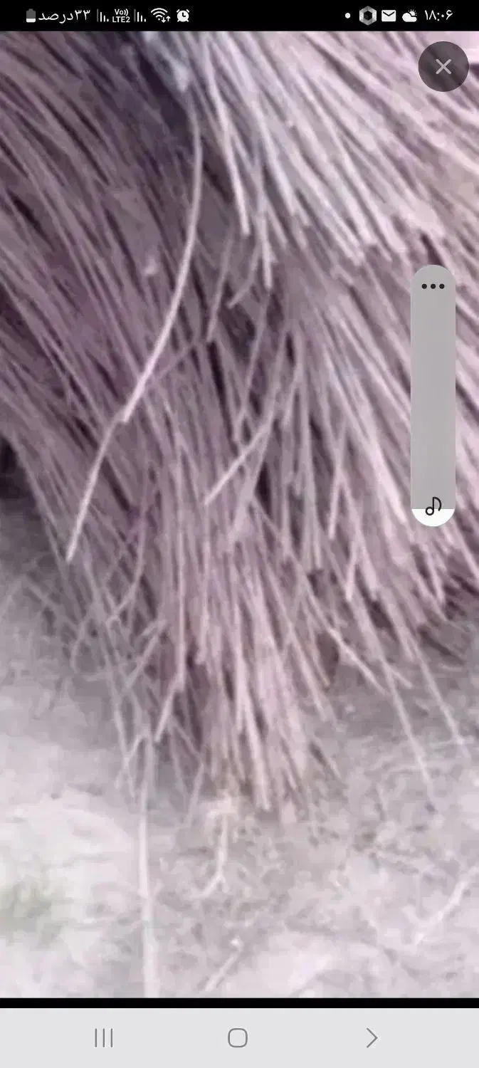 اجاره سیم سیخو 2 متری|ابزارآلات|عنبرآباد, |دیوار