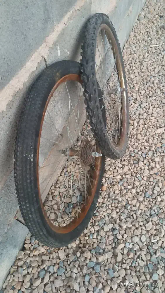 رینگ  و لاستیک دوچرخه ۲۶|دوچرخه، اسکیت، اسکوتر|شیراز, شهرک مفتح|دیوار