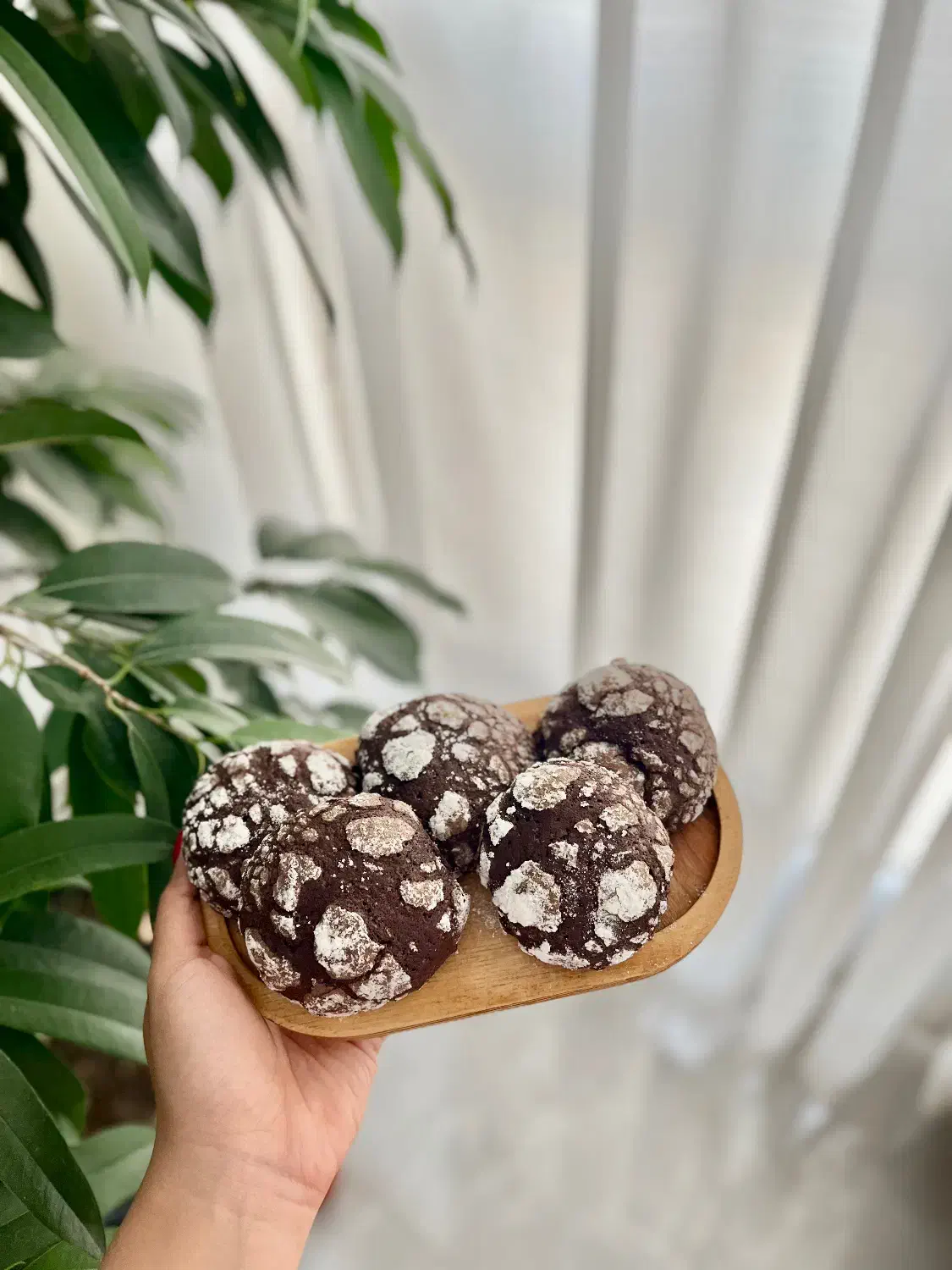 انواع کیک خانگی ویژه یلدا|خدمات پذیرایی، مراسم|اسلام‌شهر, شهرک قائمیه|دیوار