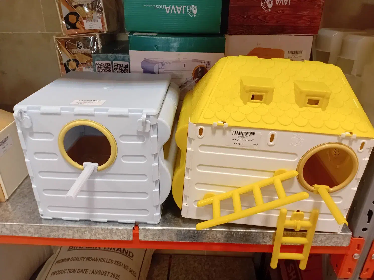 عروس هلندی،مرغ عشق،طوطی،انواع پرندگان زینتی|لوازم جانبی حیوانات|رباط‌کریم, رباط‌کریم|دیوار