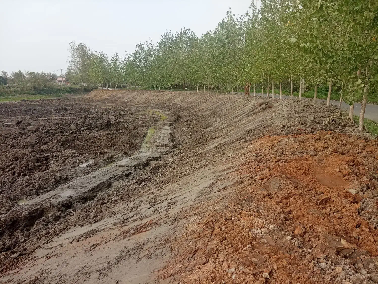 اجاره بیل مکانیکی زنجیری و بلدوزر|خدمات حمل و نقل|رشت, گلسار|دیوار