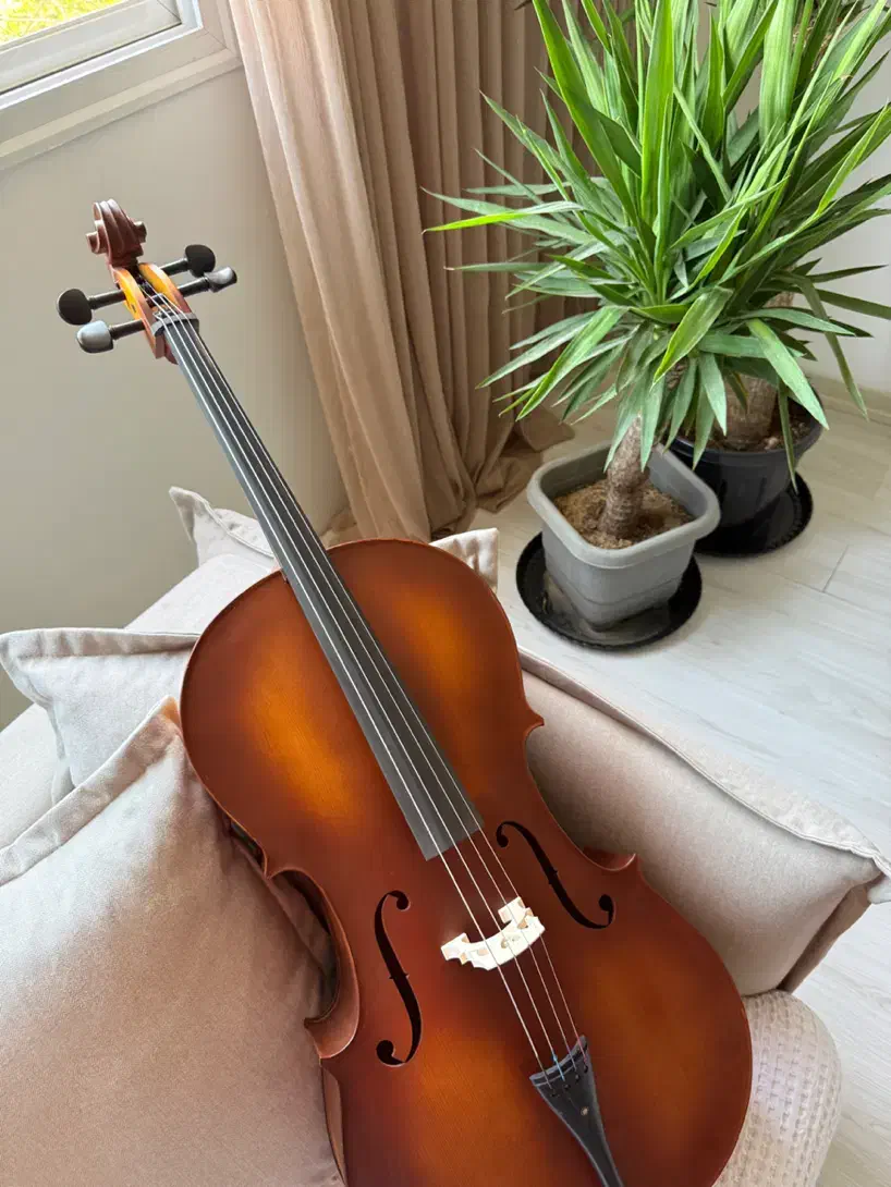 ویولنسل AMATI 1500|ویولن|اصفهان, درب کوشک|دیوار