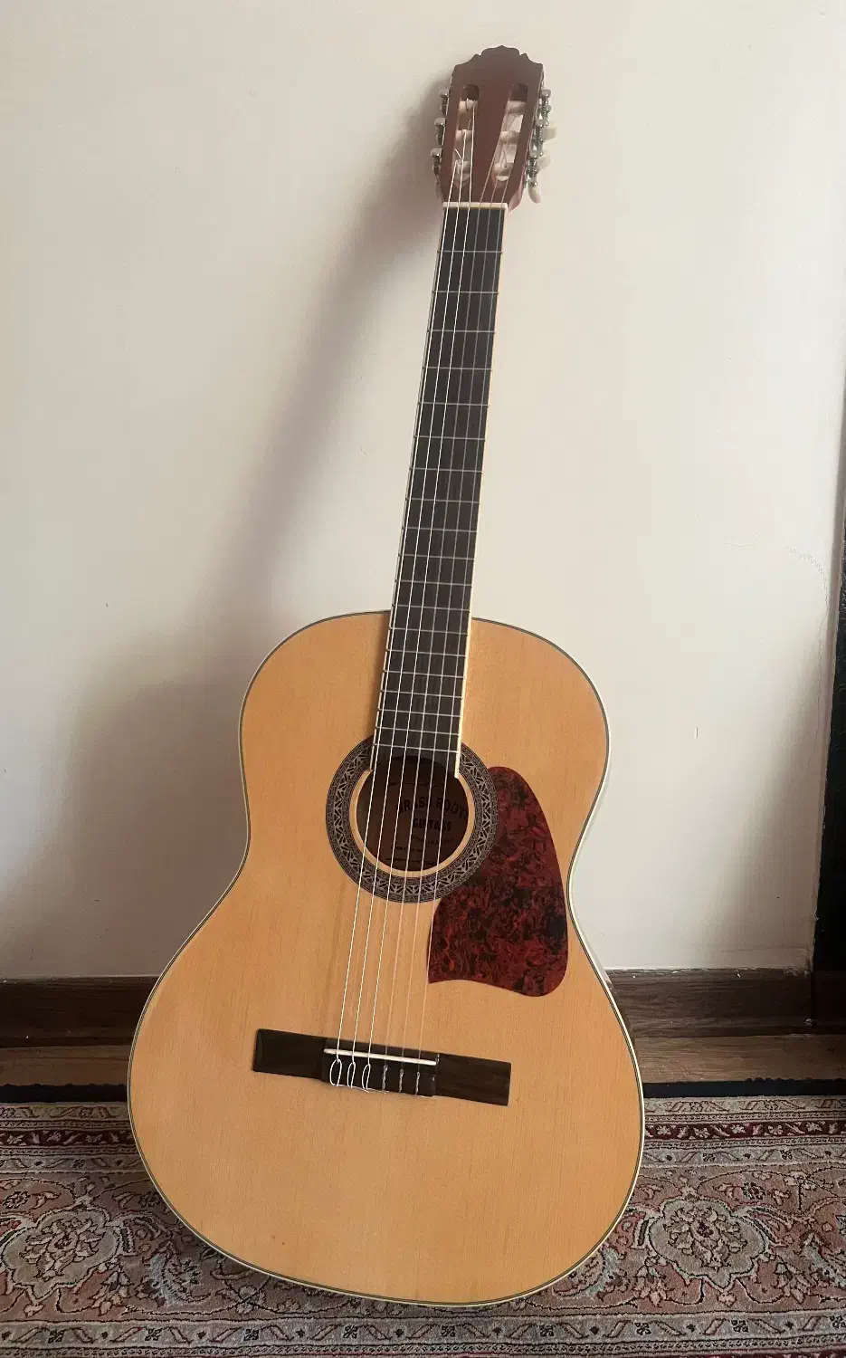 گیتار روتس کره ای بسیار خوش صدا|گیتار، بیس، امپلیفایر|همدان, |دیوار