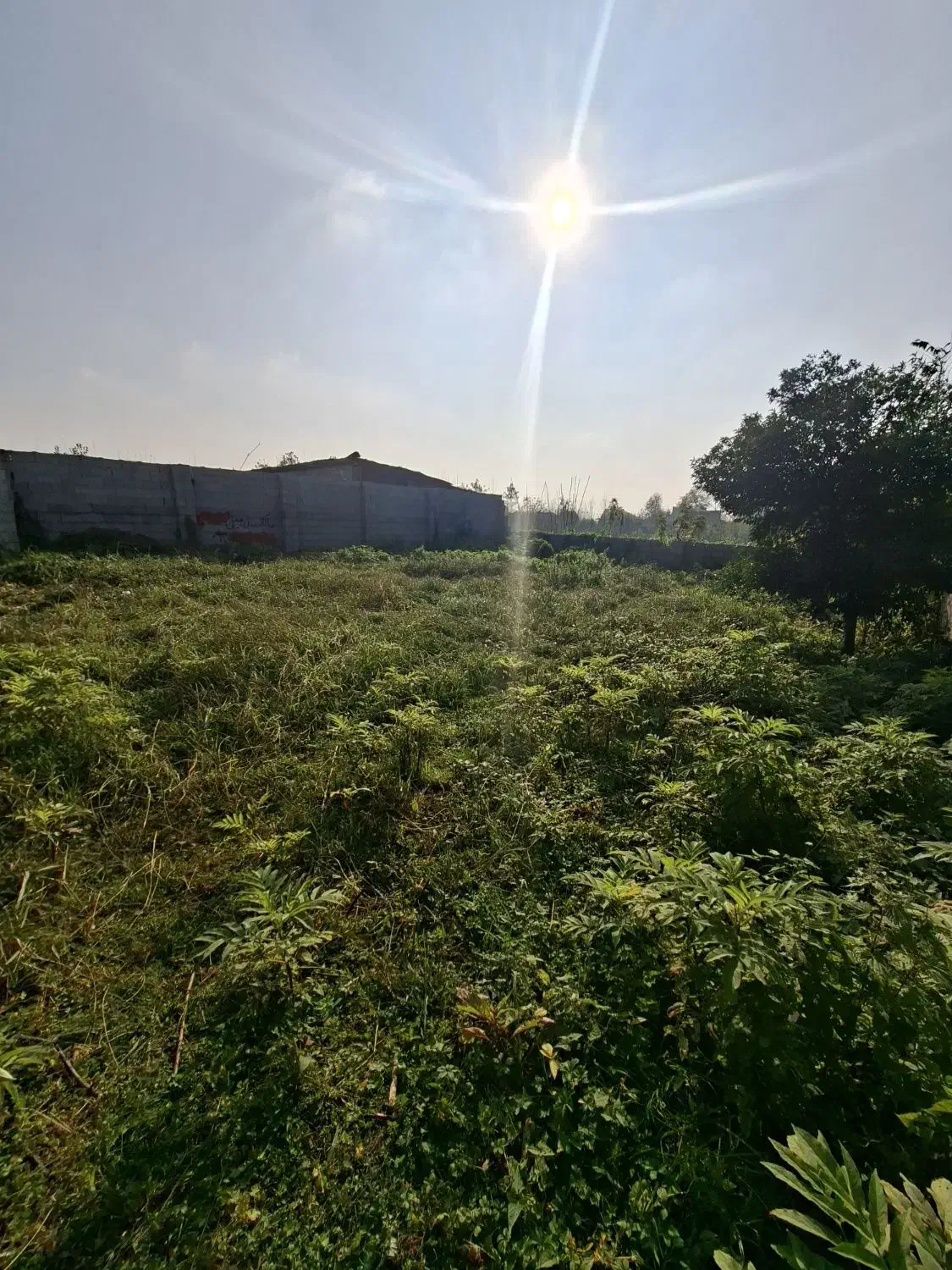 ۲۹۰متر دور محصور شده بادپروانه ساخت در ندامان|فروش زمین و ملک کلنگی|گوراب زرمیخ, |دیوار