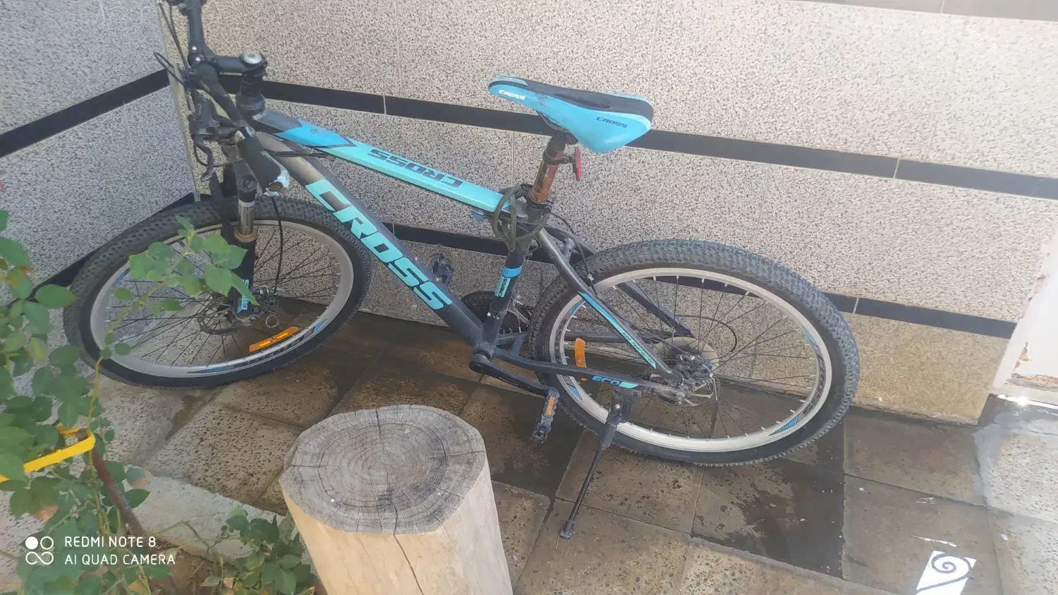 دوچرخه|دوچرخه، اسکیت، اسکوتر|لالی, |دیوار