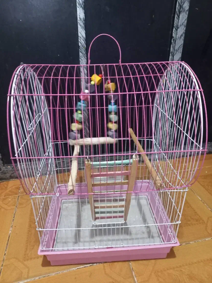 قفس پرنده|لوازم جانبی حیوانات|رشت, معلولین|دیوار