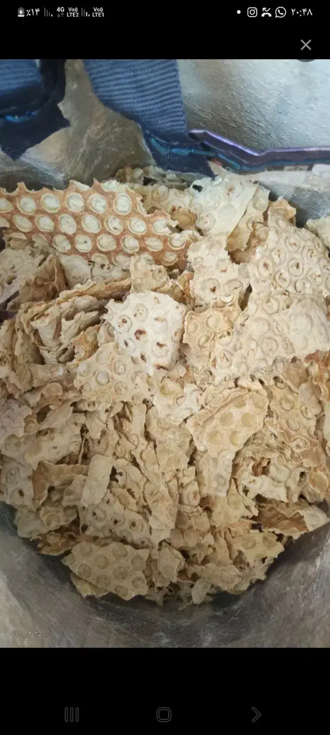 نان خشک کیلویی ۱۲تومن میخرم|خدمات باغبانی و درختکاری|شادگان, |دیوار