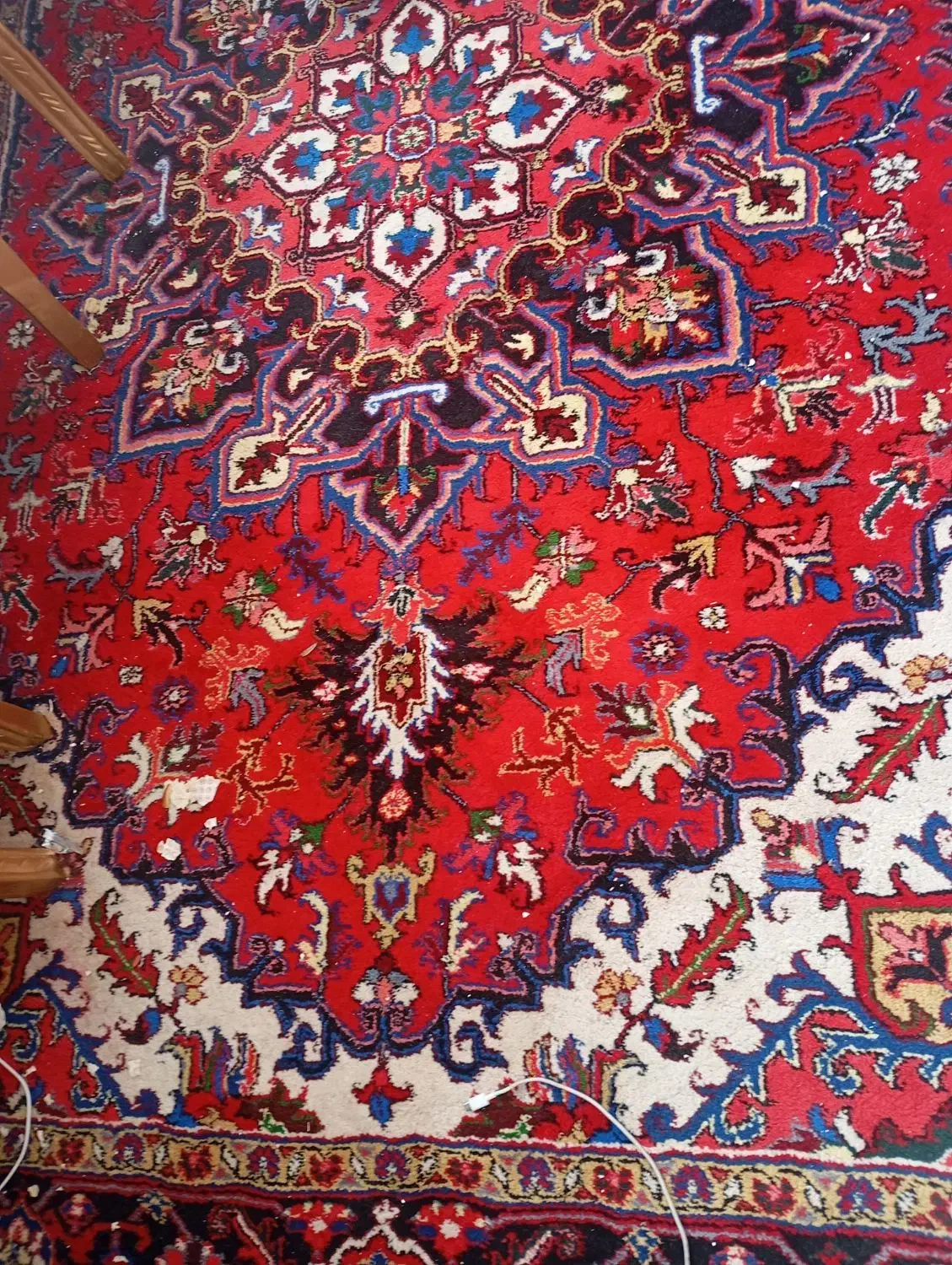 فرش درحدنو دستباف|فرش|تبریز, |دیوار