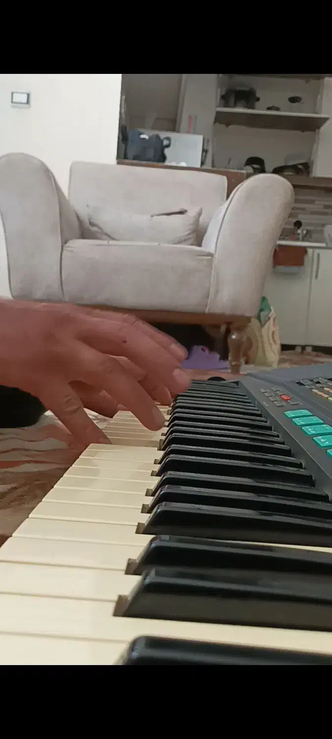 ارگ|پیانو، کیبورد، آکاردئون|همدان, |دیوار