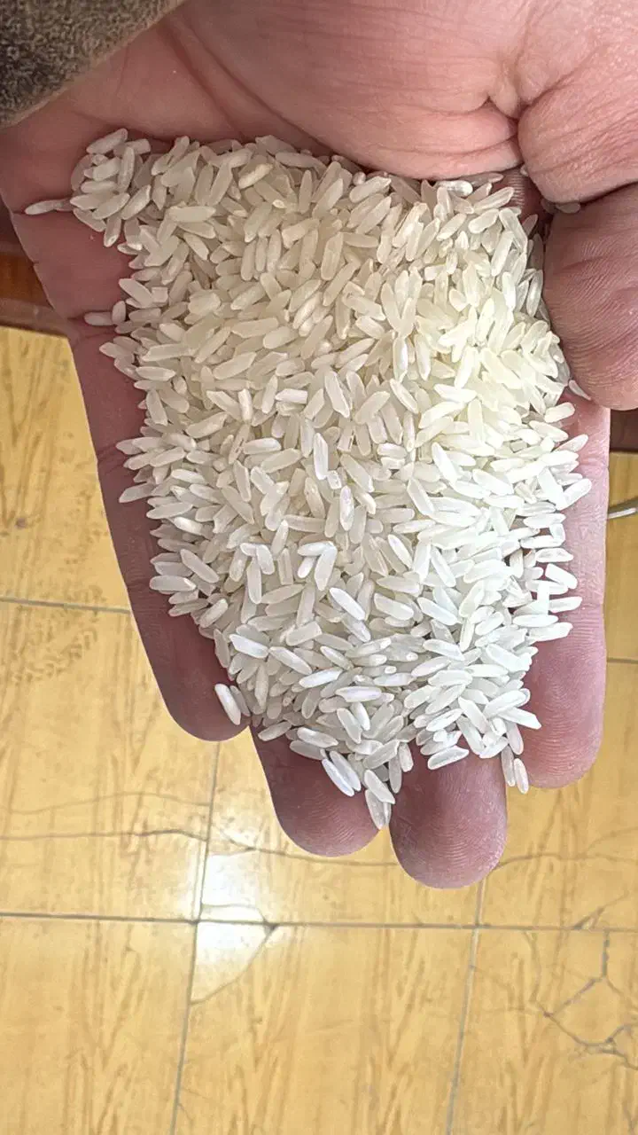 فروش عمده و تناژ برنج هندی و پاکستانی|خوردنی و آشامیدنی|تهران, مولوی|دیوار