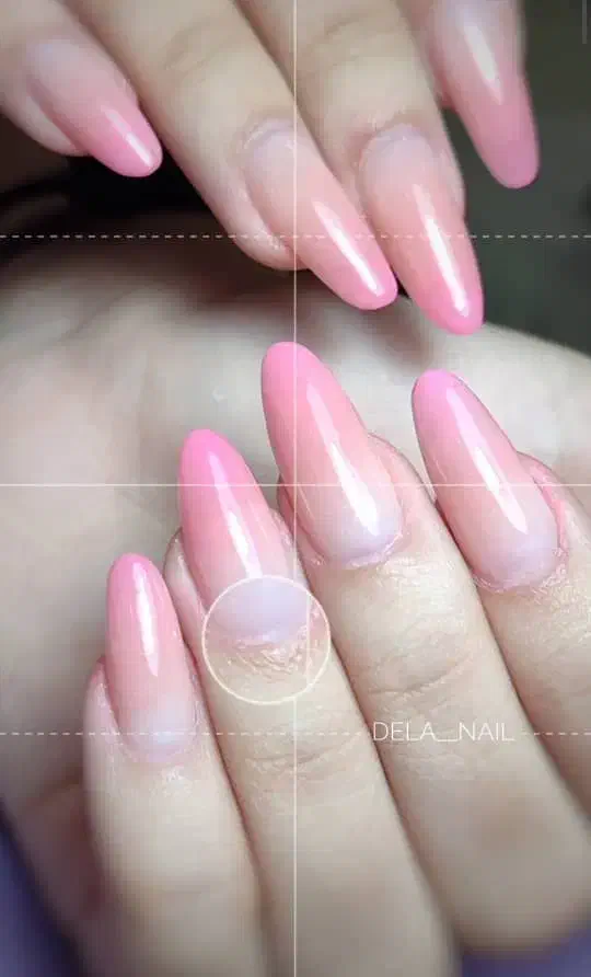 سالن زیبایی بانوان (پرتو بیوتی) (فرانک پرتوی)|خدمات آرایشگری و زیبایی|کیش, |دیوار