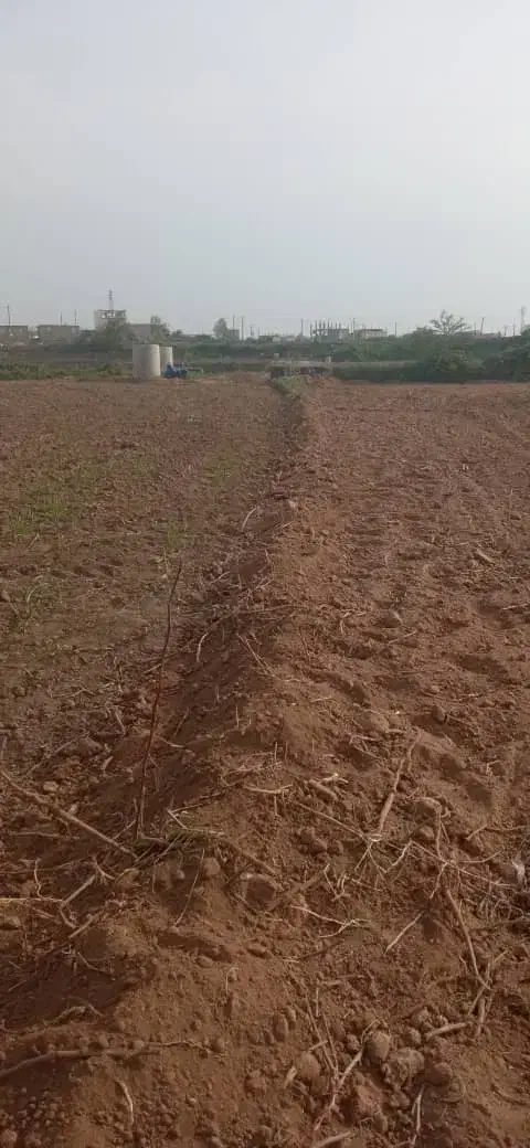 4هزارمترزمبن کشاورزی در روستای شرفه گرمادوز مغان|فروش دفتر صنعتی، کشاورزی، تجاری|گرمادوز, |دیوار
