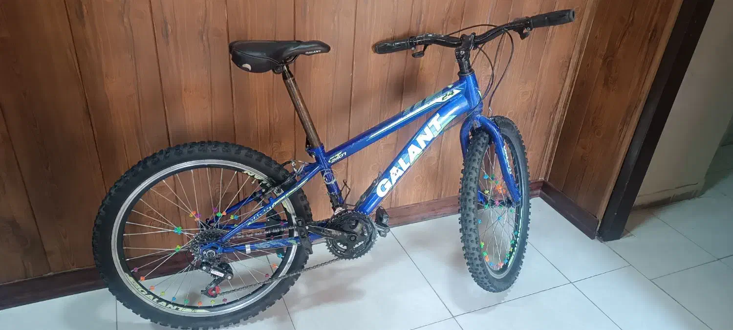 دوچرخه دنده ای سایز 24 مدل galant|دوچرخه، اسکیت، اسکوتر|اصفهان, بهارستان|دیوار