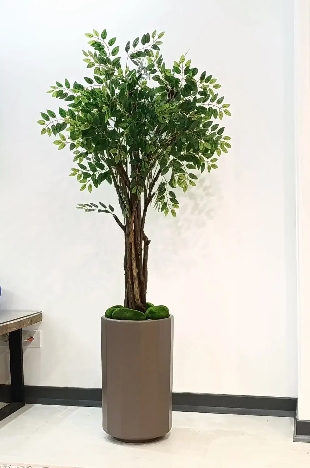 درختچه مصنوعی اقاقیا ، بامبو ، پولیشیاس درخت گل|گل مصنوعی|تهران, قصر فیروزه ۱|دیوار