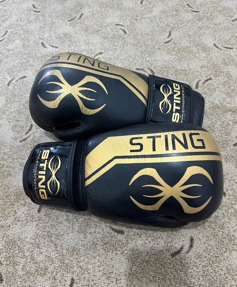 دستکش بوکس|تجهیزات ورزشی|همدان, |دیوار