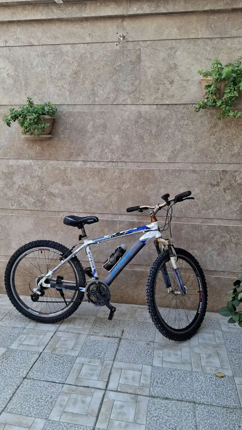 دوچرخه ویوا|دوچرخه، اسکیت، اسکوتر|بندر کنگان, |دیوار