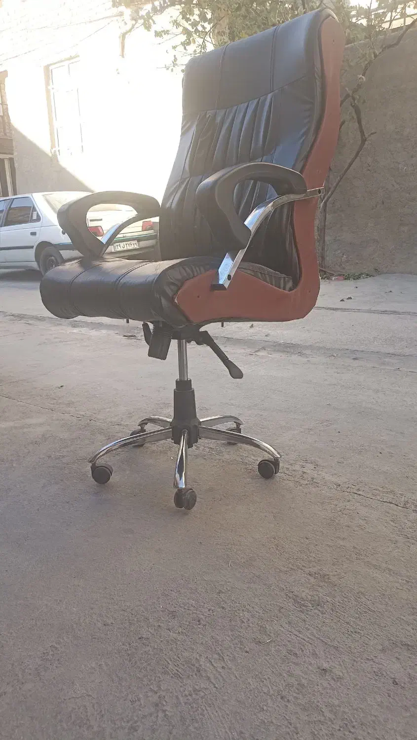 صندلی مدیتریتی|دفتر کار|جوانرود, |دیوار